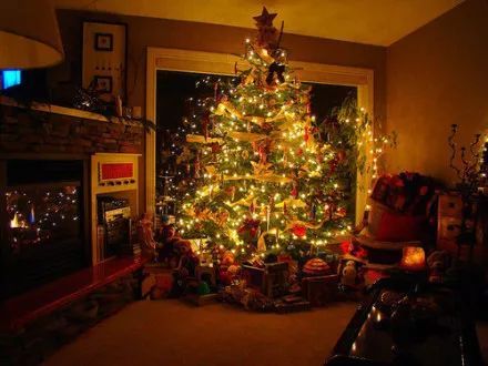圣诞树 圣诞树(christmas tree)是圣诞节庆祝中最有名的传统之一.