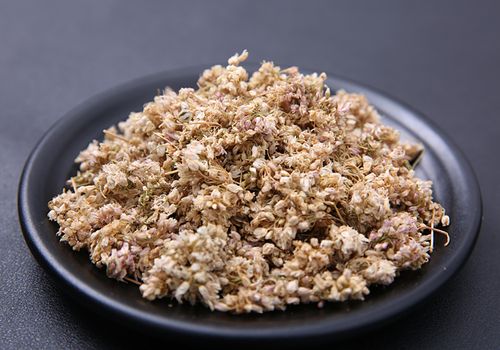 野生 摘麻花摘蒙花贼贼面乍蒙花扎蒙蒙花麻麻花天香花