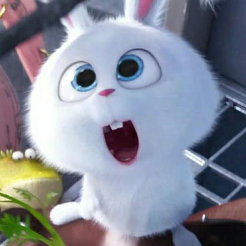 小清新.插画.壁纸.头像.爱宠大机密.