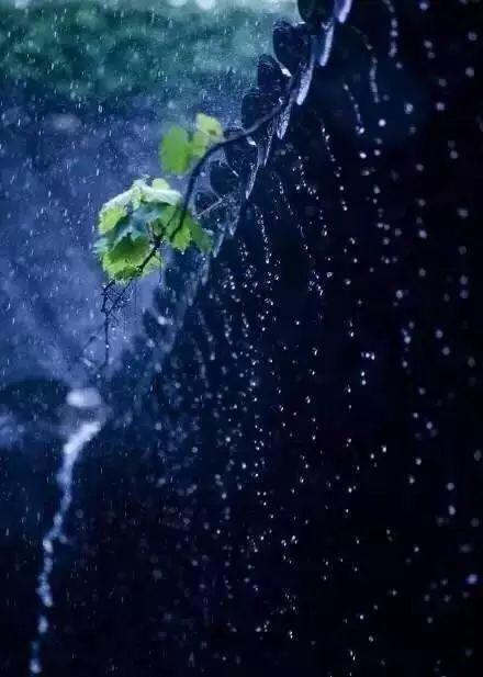 听雨