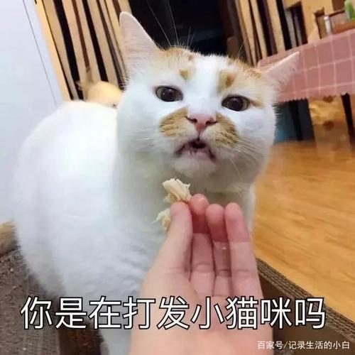 试图撒娇