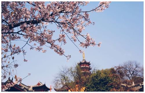 南京玄武湖好玩吗,南京玄武湖景点怎么样_点评_评价