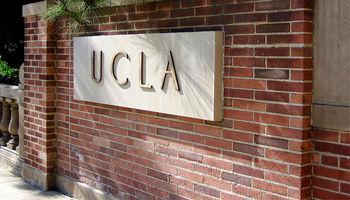 ucla简单大方的标志