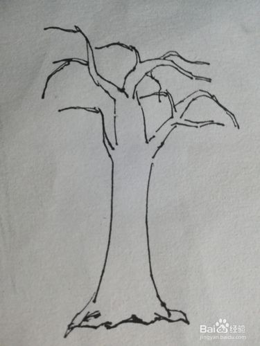 第二步画出柿子树的树枝