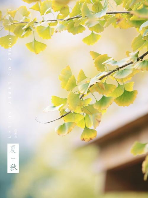 夏末初秋画九月