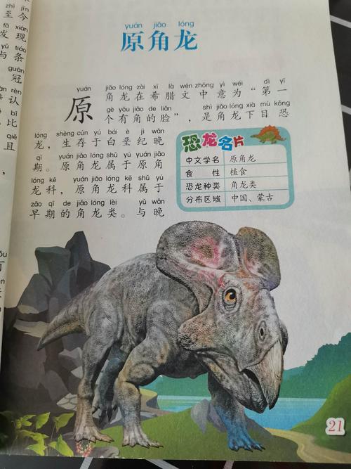 原角龙