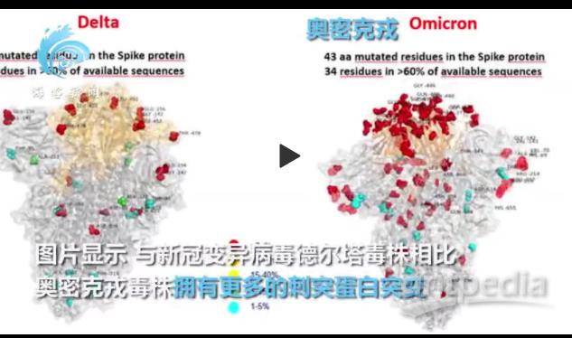 意大利科研团队发布全球首张奥密克戎毒株图片