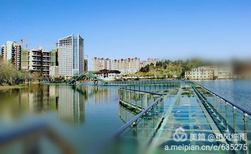 建设中的泉湖公园(2)