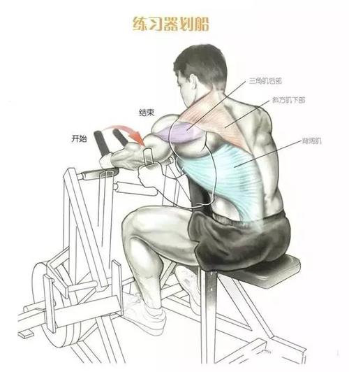 【背阔肌锻炼方法】背阔肌怎么练?锻炼背阔肌的动作图解