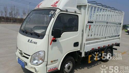 跃进小福星的介绍