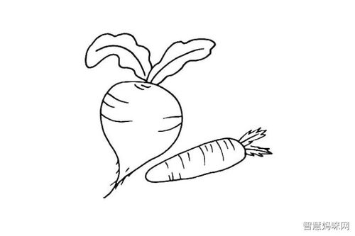 萝卜简笔画画法步骤