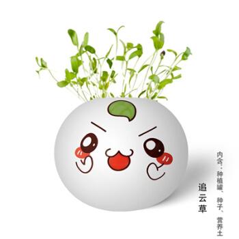 七夕小花农小草人迷你室内长草头娃娃可爱创意小盆栽浇水长草植物娃娃
