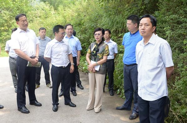 8月26日,市委常委,组织部长张健专题调研复兴泰城十里水街文化产业