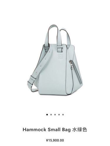 loewe hammock bag罗意威吊床包
