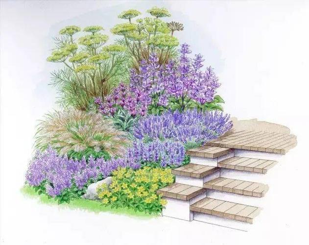 101款手绘花园院子(植物小景)_花镜