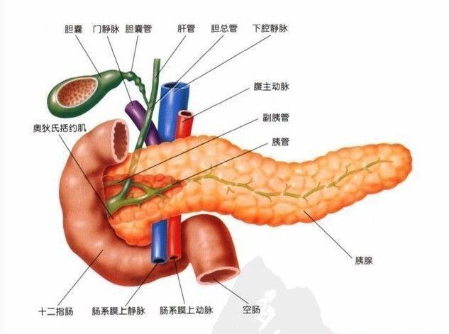 胰腺炎中的两个重要指标