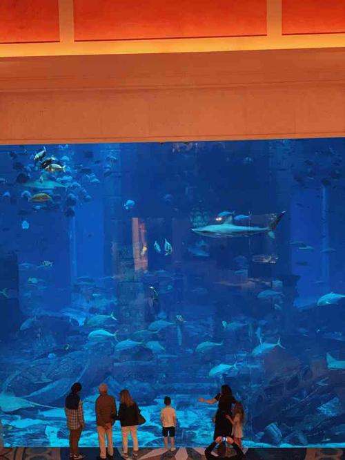 迪拜亚特兰蒂斯失落的空间水族馆