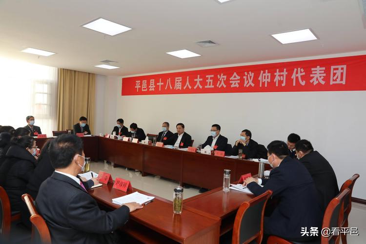 平邑:夏成光孙伟等县领导分别参加代表团分组审议