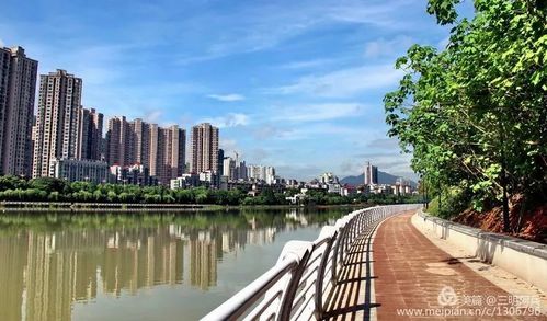 尖叫三明沙溪河两岸变成这样了