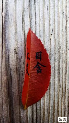 否极泰来winner的微博视频