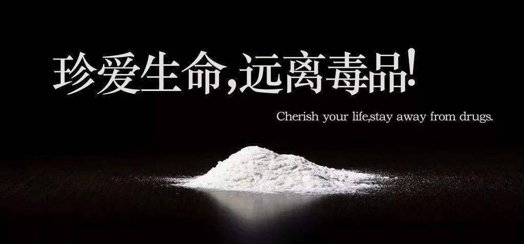 【公益广告|禁毒宣传】珍爱生命 远离毒品