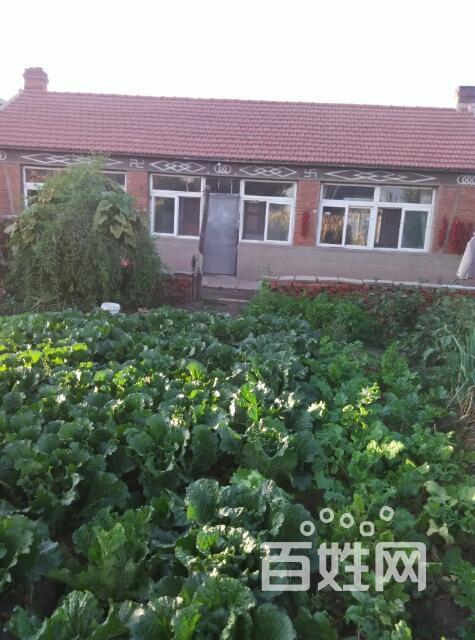 【图】- 出售农村平房,院子大 - 沈阳苏家屯城郊二手