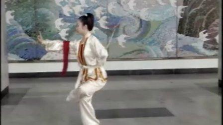 太极长穗剑教学专辑