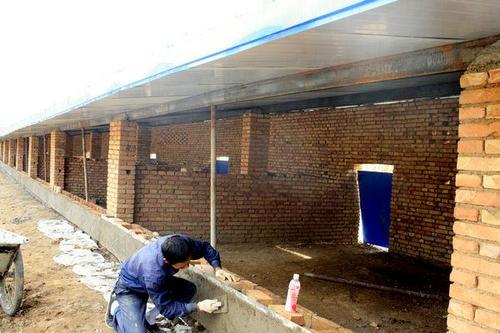 我想养200只波尔山羊羊舍怎么建好