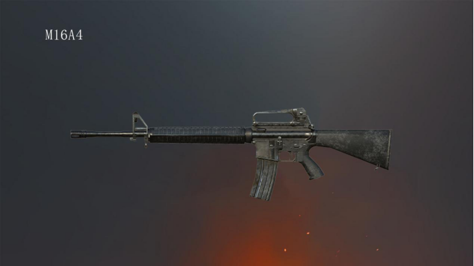 第二名 : m16a4