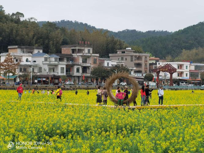 花都红山村,竹洞村随拍(2021.2.27) - 美篇
