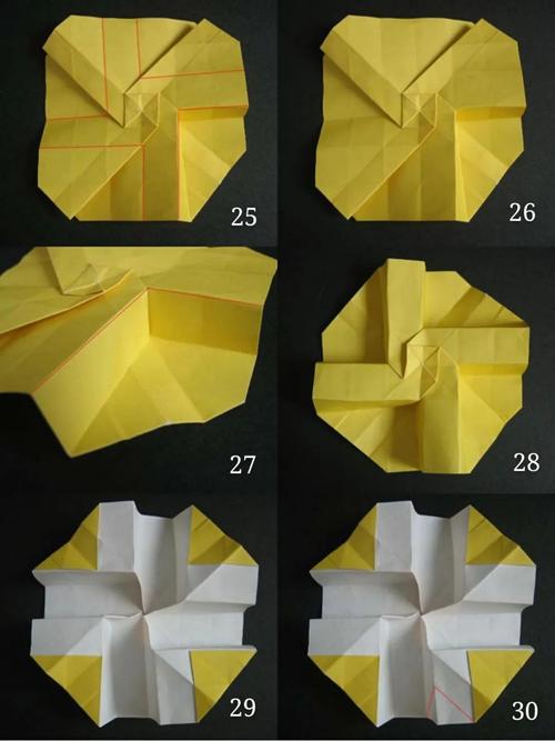 川崎玫瑰属于你的小惊喜