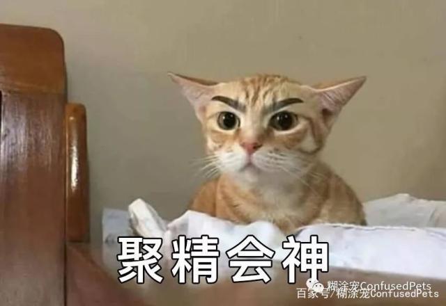 这个眉毛让小编想到了风靡一时的"汪峰眼"