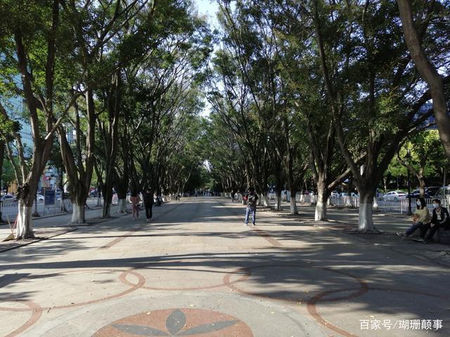东莞长安:长青街休闲约会的好去处,多少靓女俊男在这里留下回忆