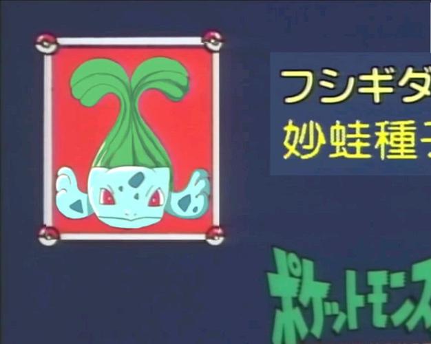 神奇宝贝之猜猜我是谁,我猜一个也认不出,全猜对暑假雪糕我包