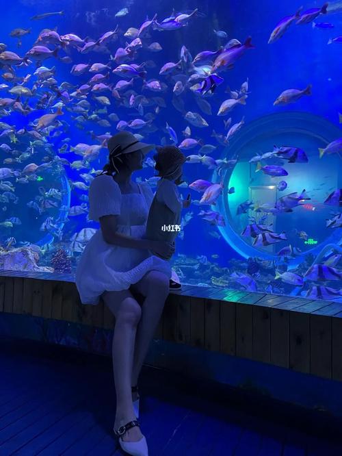 海洋馆_兰州大名城海洋馆攻略_景点_海洋馆_水族馆_游泳_出行_人文