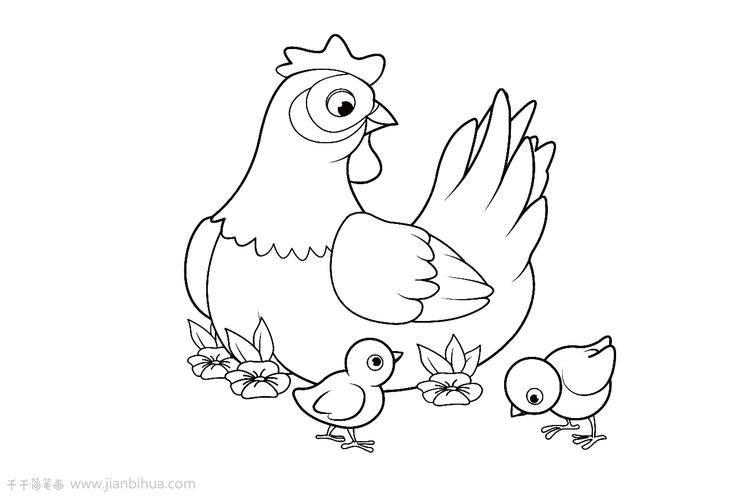 鸡简笔画图片教程_涂色画简笔画