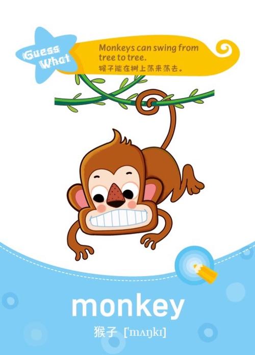 2  基础词汇-monkey ————词汇———— monkey ["mk] 猴子 swing