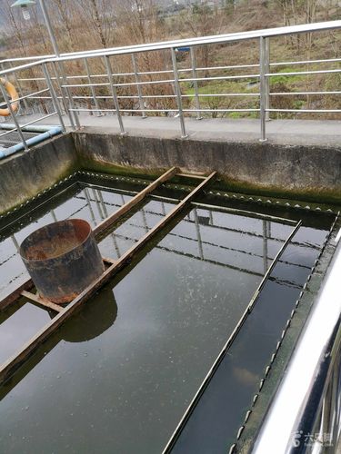 彭州项目1二沉池出水