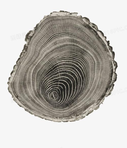 树桩图片免费下载_png素材_编号vwxi6yk01_图精灵