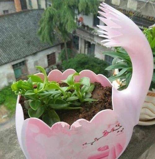 用洗衣液瓶做花盆,简单剪2刀,就能变废为宝,养啥花都能爆!