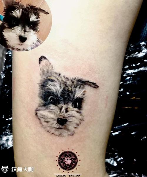 雪纳瑞_纹身图案手稿图片_三号技师老白的纹身作品集