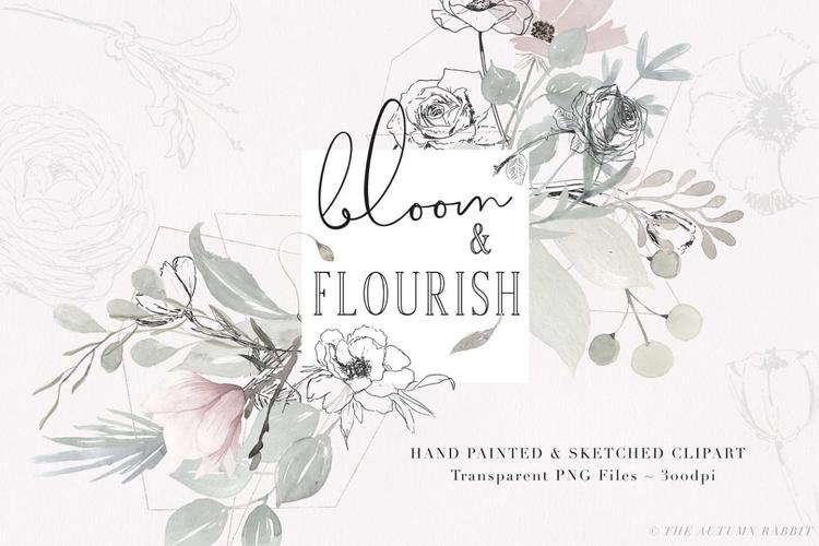 淡雅手绘素描花卉剪贴画 bloom & flourish – floral clipart