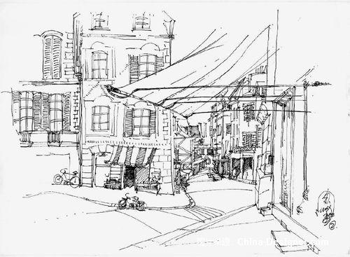 园林手绘树木单体线稿