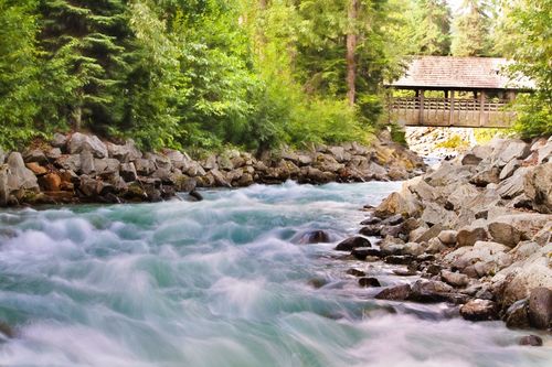 流动的小溪 自然 公园 夏天4k风景超高清壁纸精选