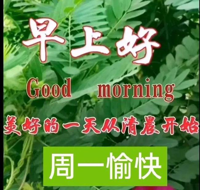2021年5月18日星期一清晨早上好问候祝福动态表情图片周一最新早安
