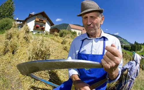 国土面积小,又毫无资源优势!意大利农业却能雄霸