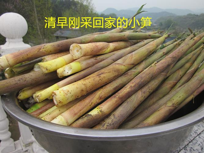 2018大别山天堂寨野生小竹笋干笋丝笋干货纯天然无盐无硫磺包邮