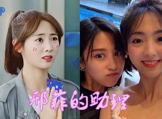 明星助理,沈月,邢菲,虞书欣,杨紫