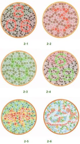 如果你能从这些图里看出什么,说明你是个色盲!