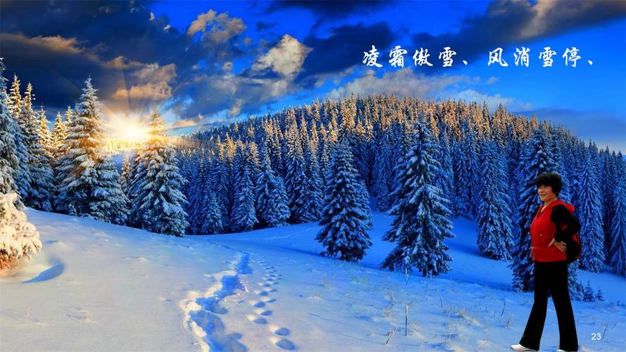 美丽的雪景(一)